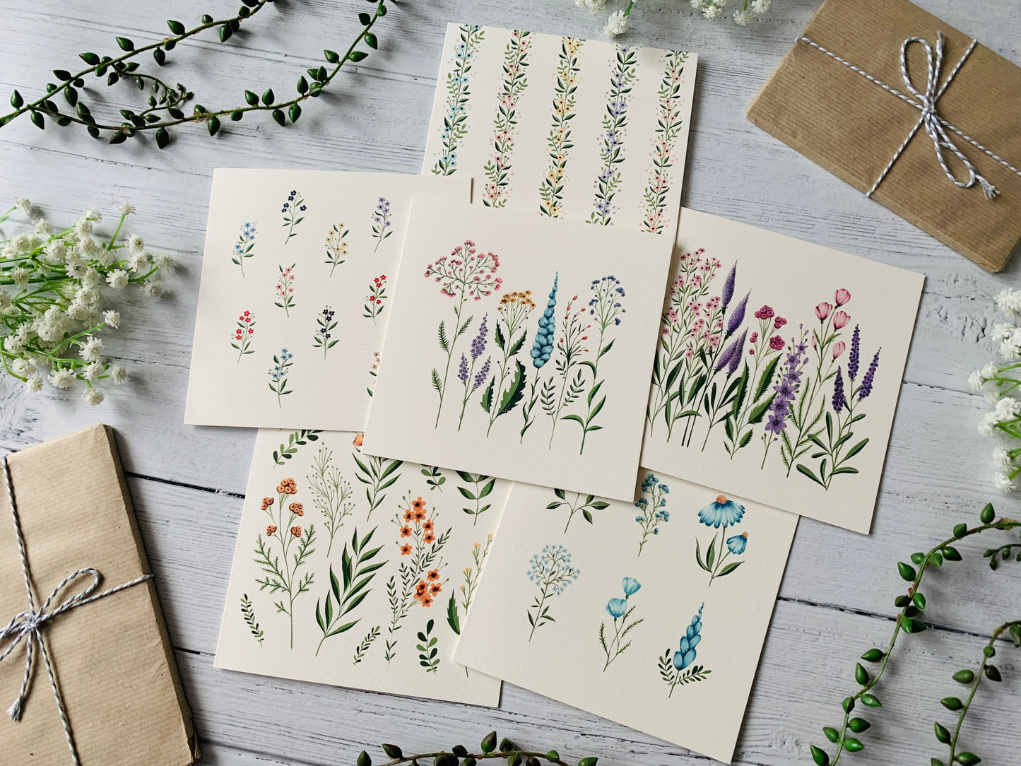 Mystery Set of 8 Greeting Cards