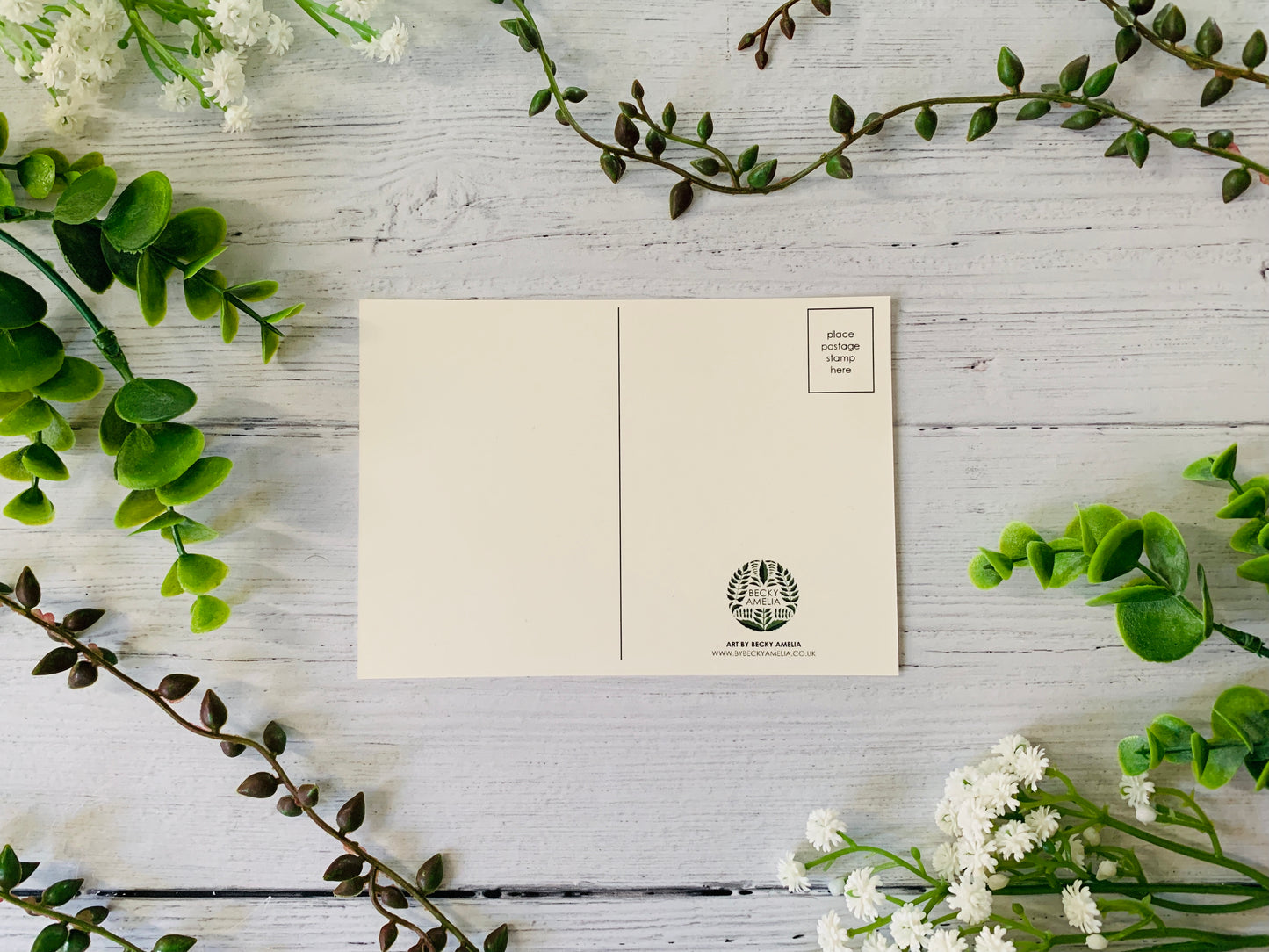 Seashells & Wildflowers Postcard Set