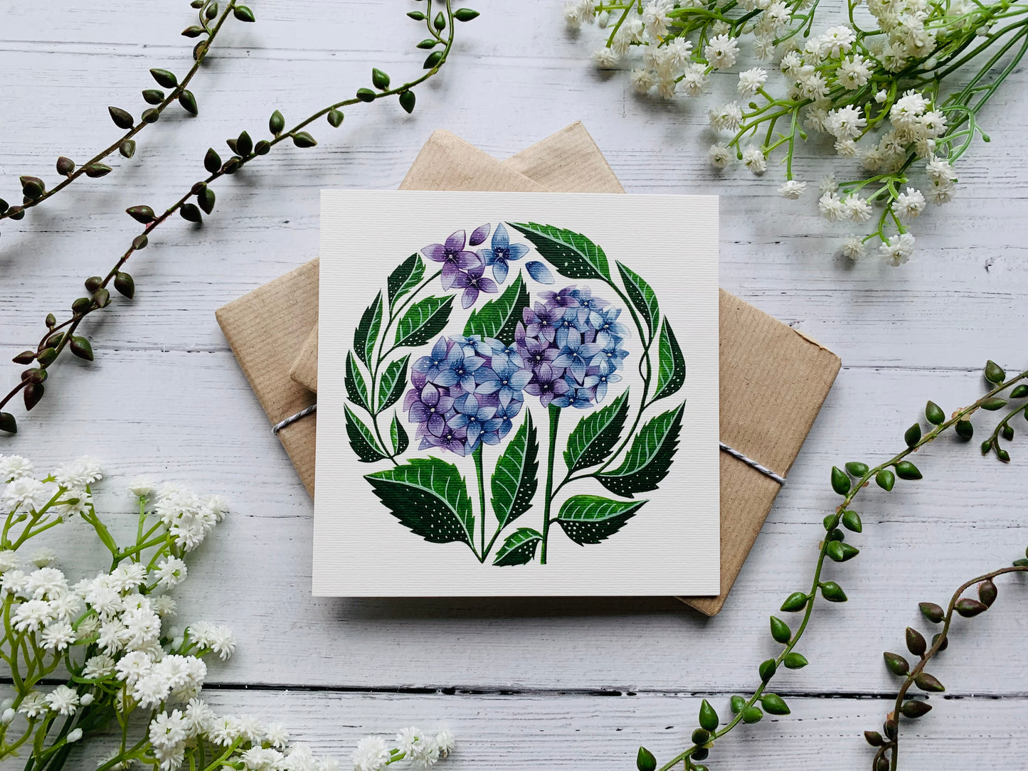 Botanical Circles Postcard Set
