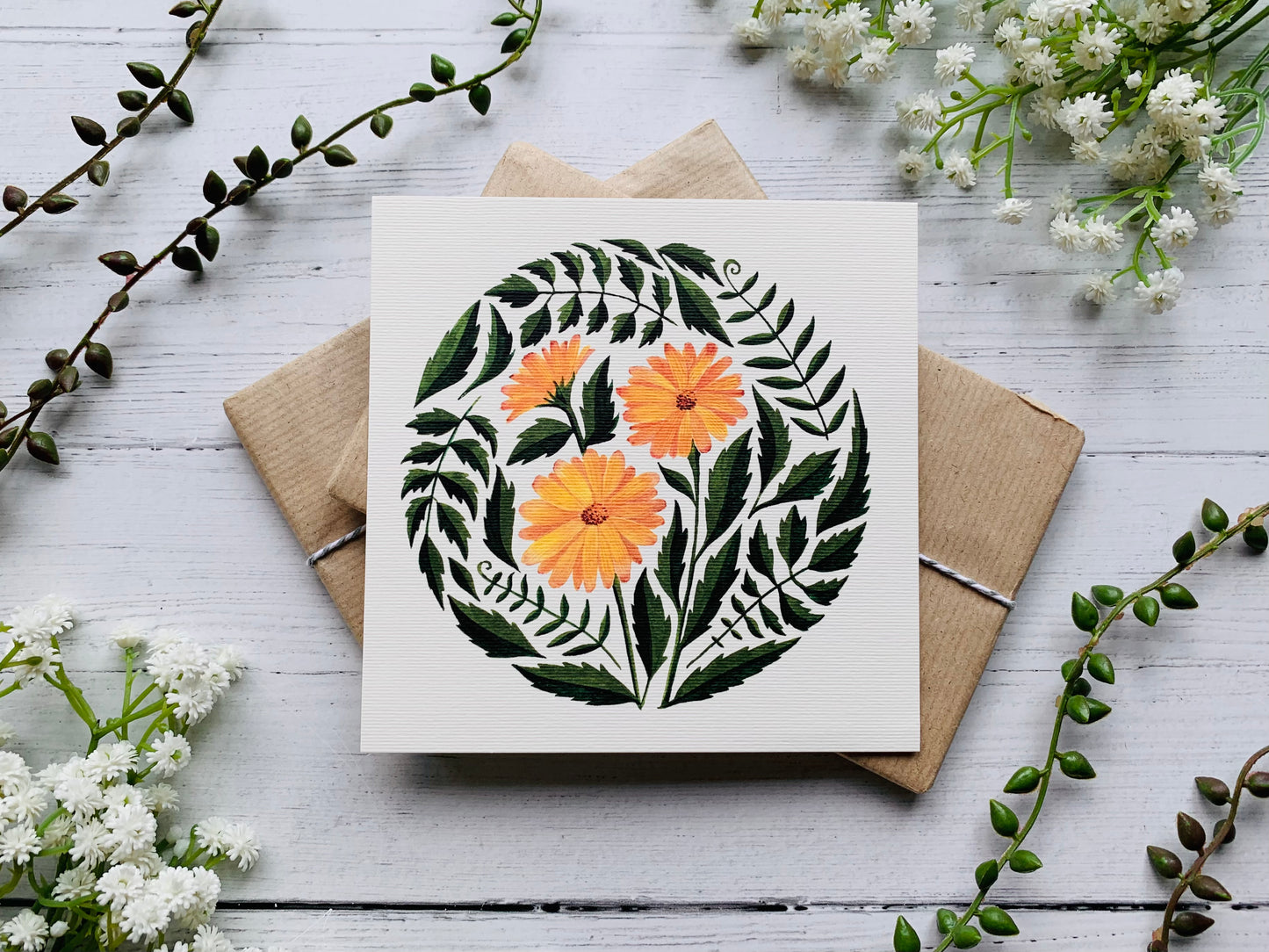 Botanical Circles Postcard Set
