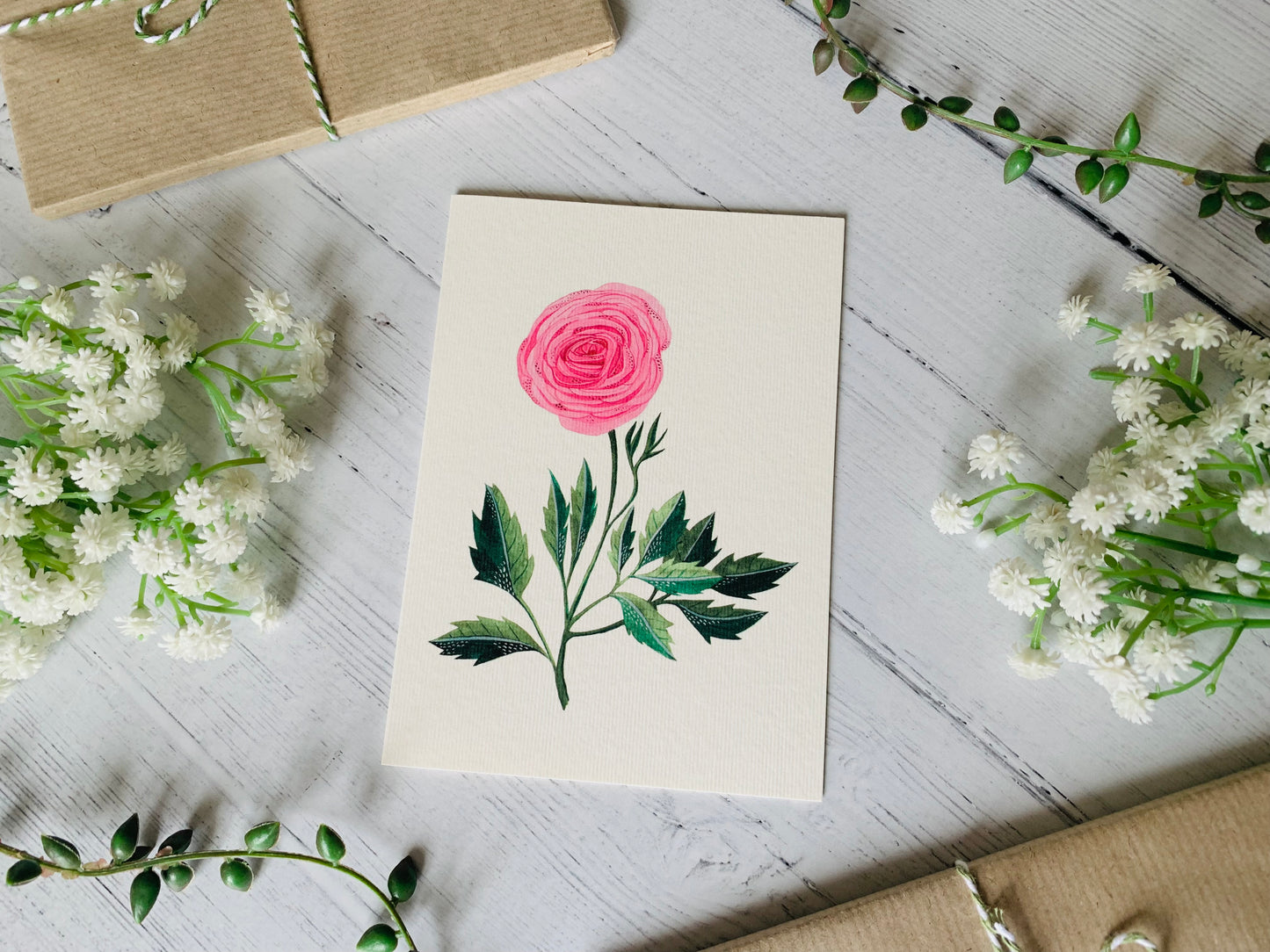 Ranunculus Greeting Card
