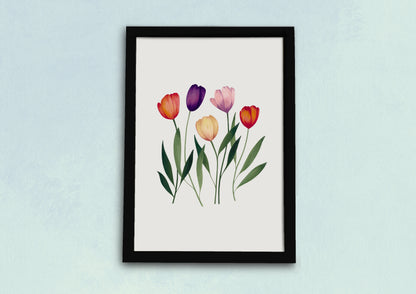 Colourful Tulips Art Print