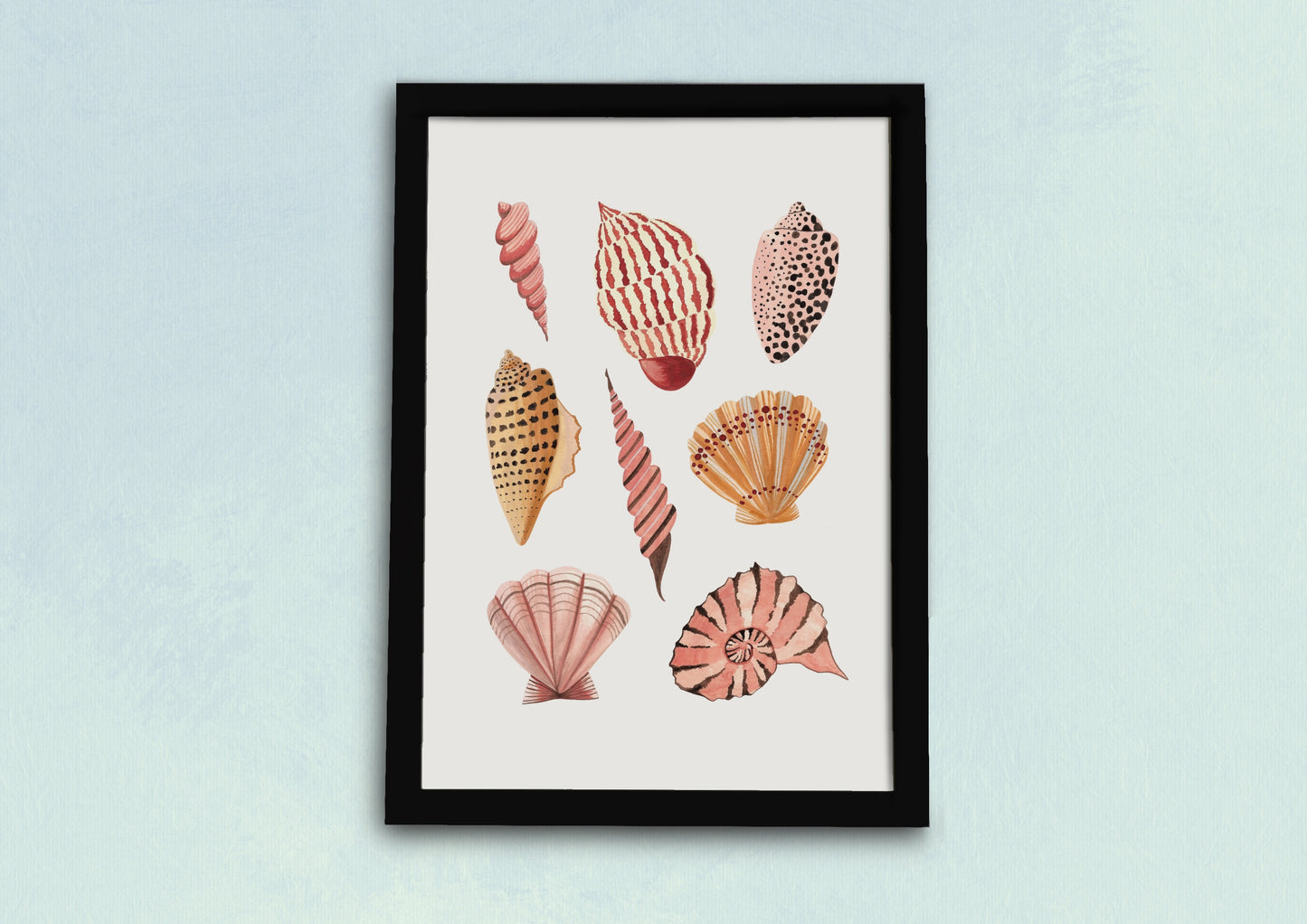 Seashells Art Print