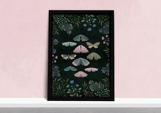 Night Moths Natural History Art Print