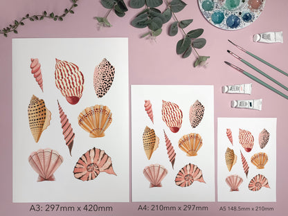 Seashells Art Print