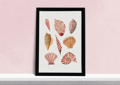 Seashells Art Print