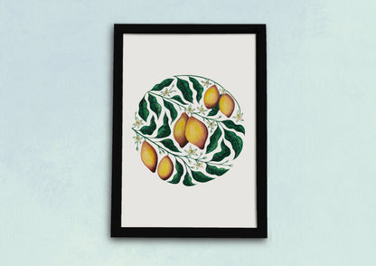 Lemon Tree Art Print