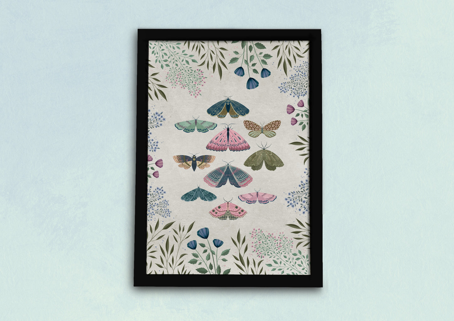 Moths Natural History Art Print