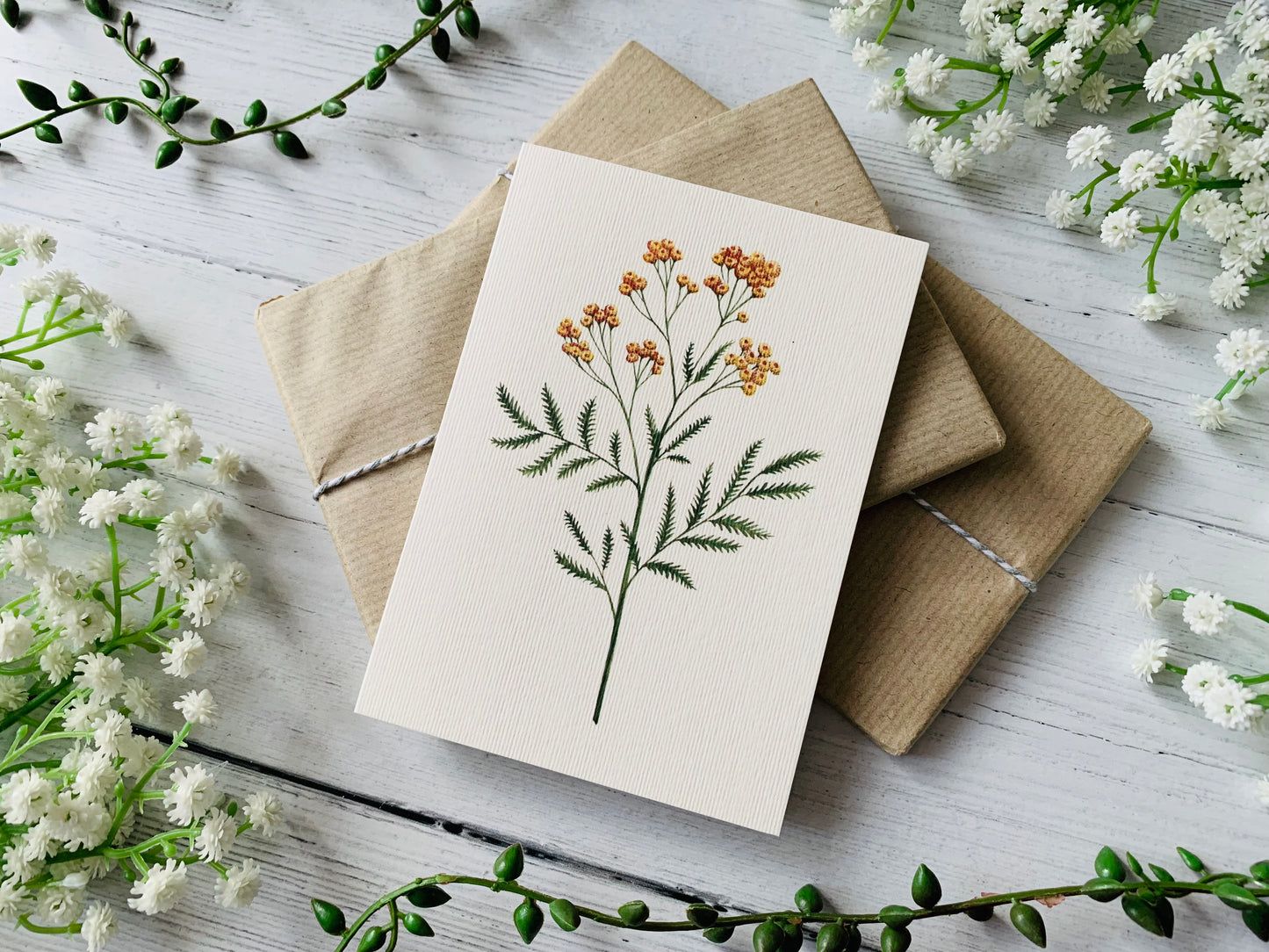 Tansy Greeting Card