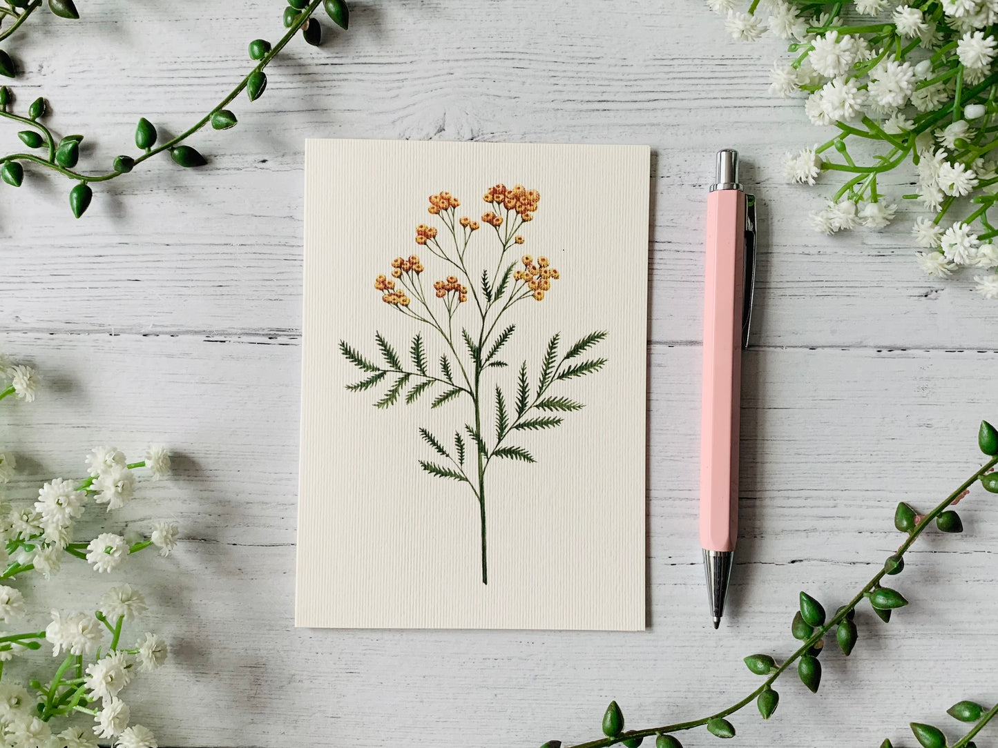 Tansy Greeting Card